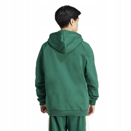 Bluza męska adidas z kapturem IS5734