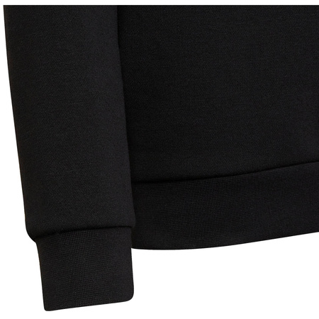 Bluza adidas Adicolor HS8870