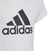 Koszulka Dziecięca adidas Essentials Big Logo IC6121