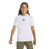  Koszulka dziecięca z krótkim rękawem JC9774 
