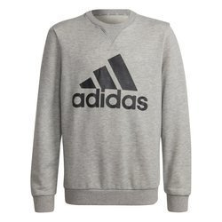 Bluza Dziecięca klasyczna adidas Essentials GS4273