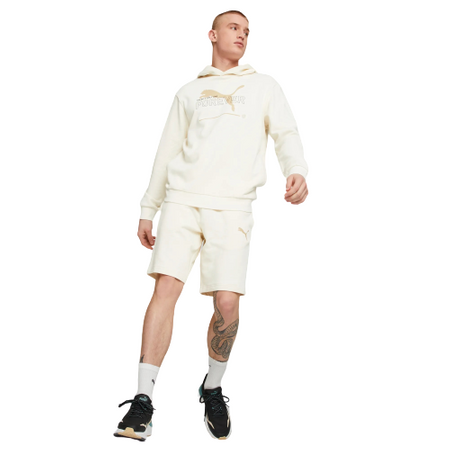 Bluza z kapturem Męska Puma Essentials Men's Hoodie 67329399