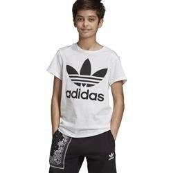 Koszulka Dziecięca adidas Originals DV2904
