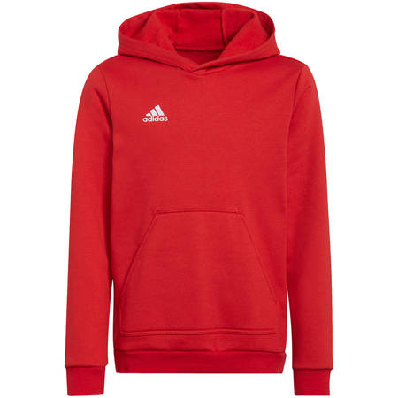 Bluza Dziecięca z kapturem adidas Entrada 22 H57566