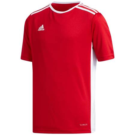 Koszulka Dziecięca Piłkarska adidas Entrada 18 CF1050