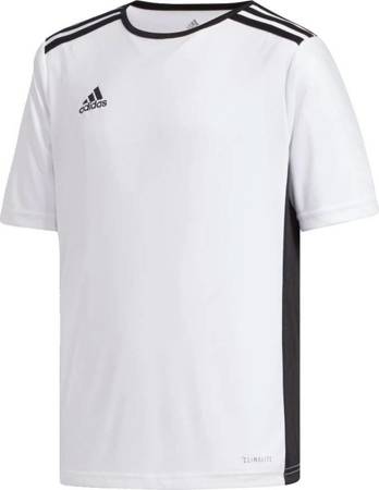 Koszulka Dziecięca Sportowa adidas Entrada 18 CF1044